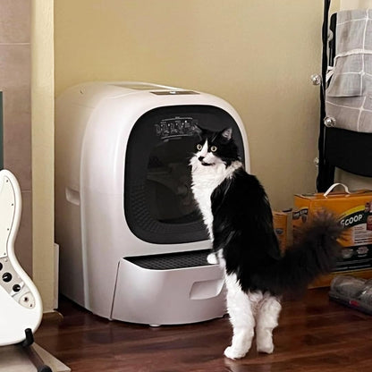 Self Cleaning Litter Box Auto Refill, Automatic Robot Litter Box for Multiple Cats, Ultra-Safe Scooping/Odor Control System/6 x Safety Sensor/5G App, Anti-Leakage 80L Kitty Box Waste Disposal